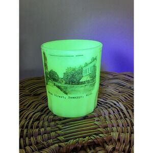 CUSTARD SOUVENIR NEWAYGO MICHIGAN. ANTIQUE SOUVENIR SHOT GLASS